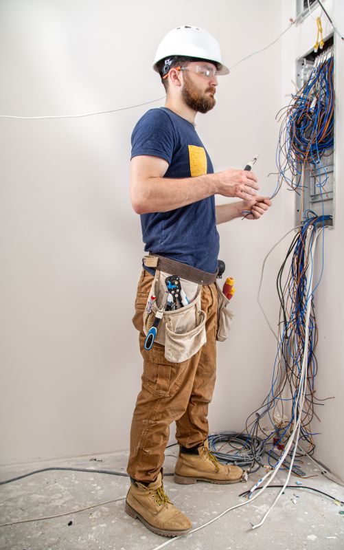 Electrical and Plumbing Technicians